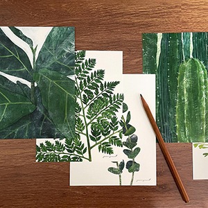 자연이만들어준색 식물엽서 중형 (초록식물 5종 세트)